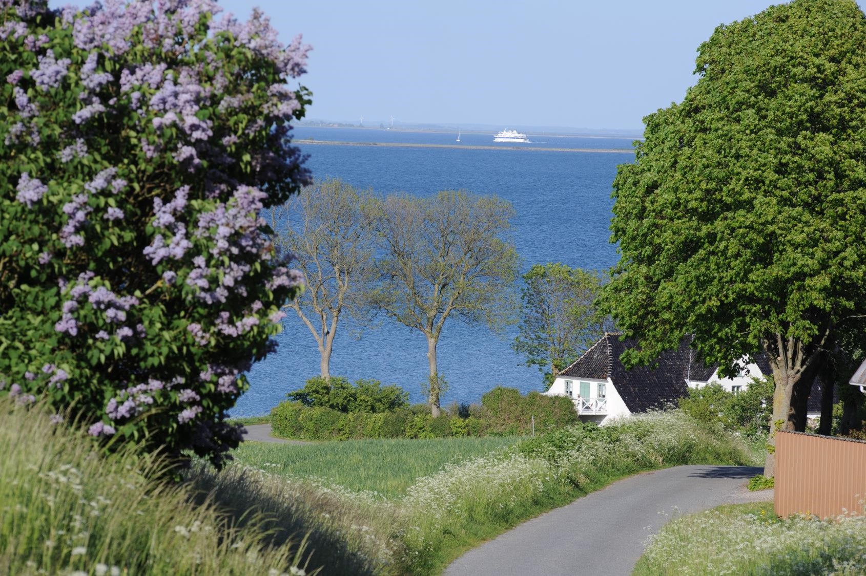 Smukke Ærø fra bus