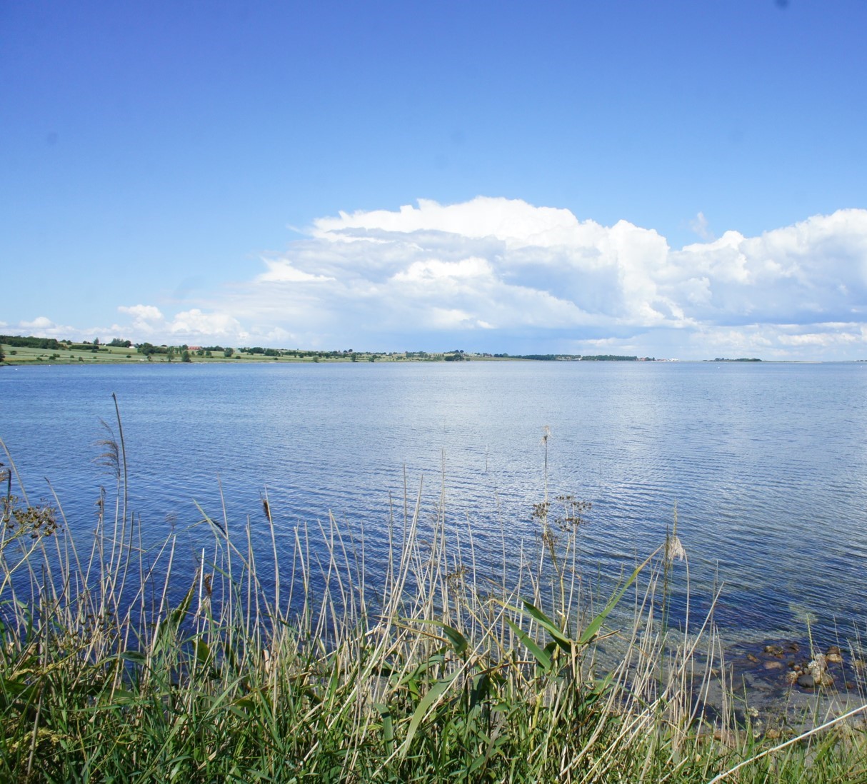 Ærø helt på egen hånd