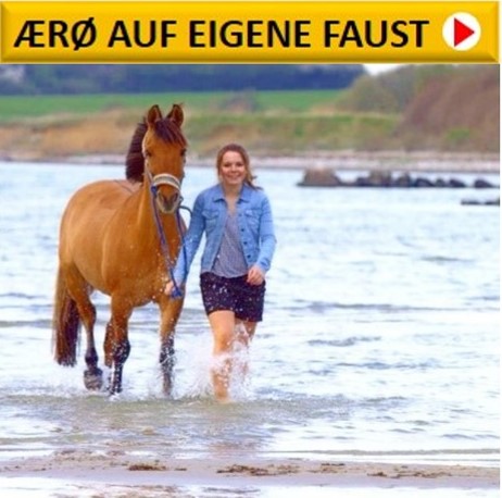 ÆRØ AUF EIGENE FAUST
