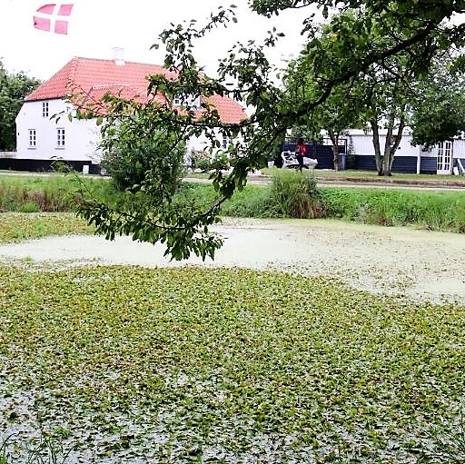 Birkholm by