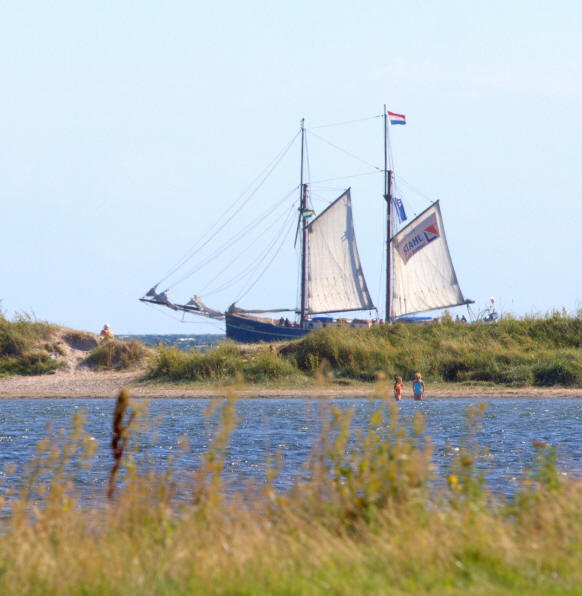 ærøtiurs TEMA BUSTUR