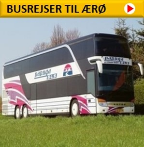 Busrejser til Ærø 
