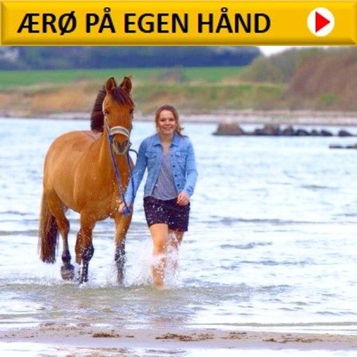 ÆRØ PÅ EGEN HÅND