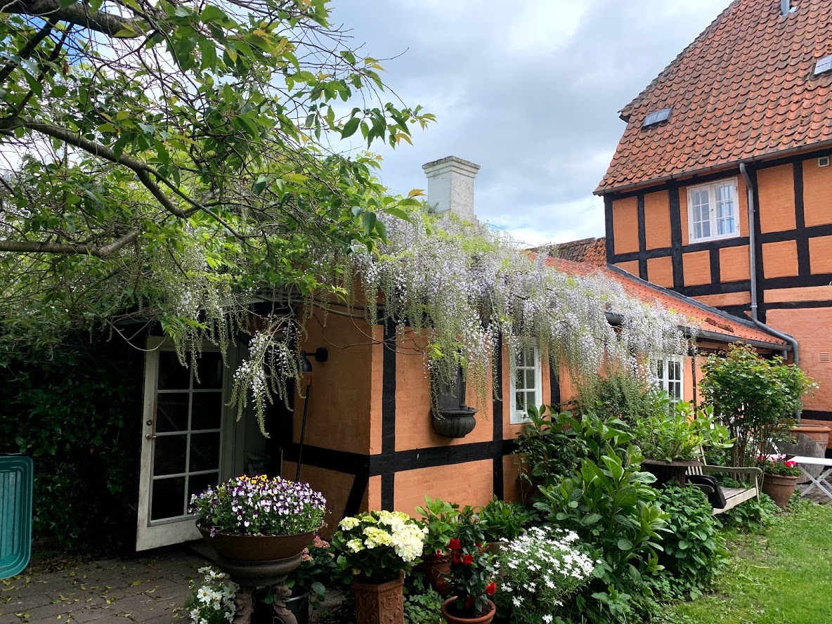Haven i Pension 44