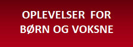 OPLEVELSER FOR BØRN OG VOKSNE PÅ ÆRØ