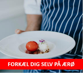 FORKÆL DIG SEL PÅ ÆRØ